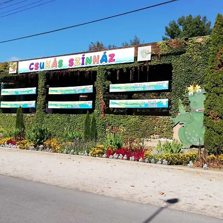 In 20093 Σπίτι διακοπών Balatonszarszo
